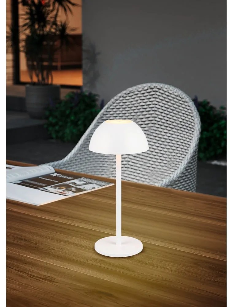 Lampa zewnętrzna ze ściemniaczem ø 13,5 cm Ricardo – Trio