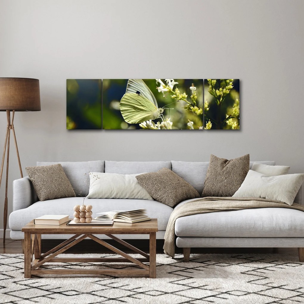 Obraz motyla (170x50 cm)