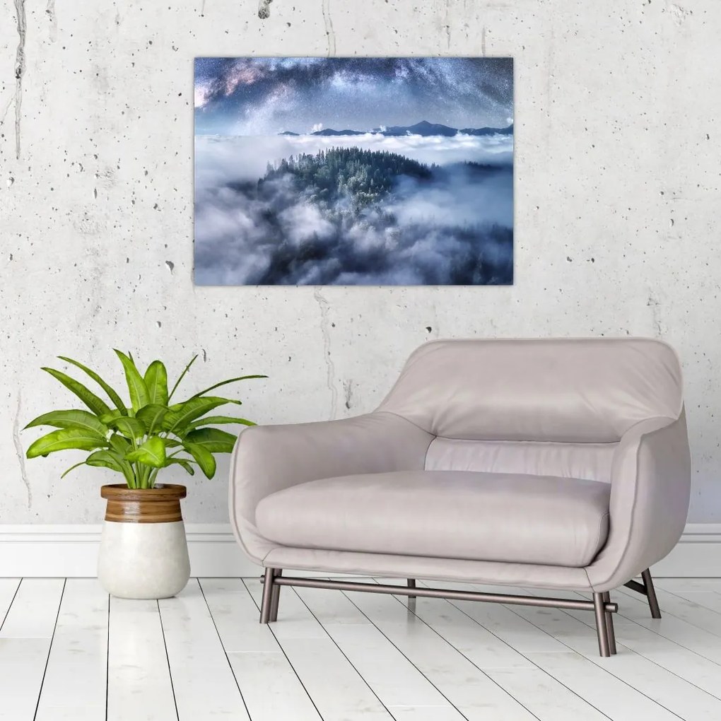 Obraz lasu we mgle (70x50 cm)