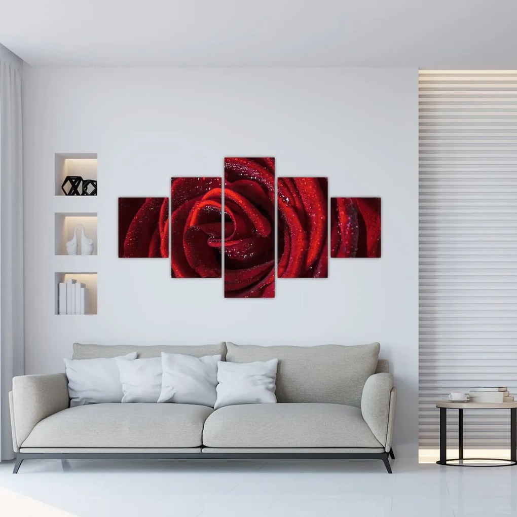 Obraz - Czerwona róża z kroplami rosy (125x70 cm)