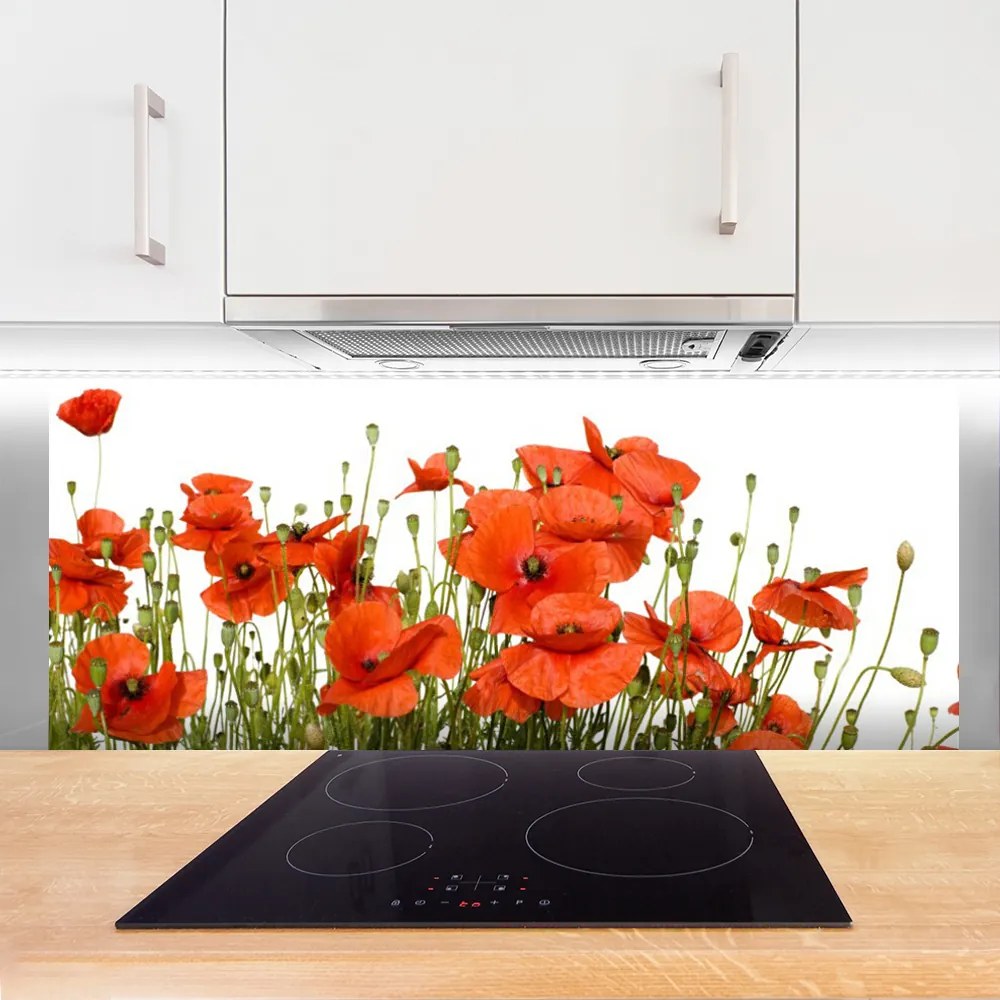 Panel Kuchenny Polne Maki W Słońcu