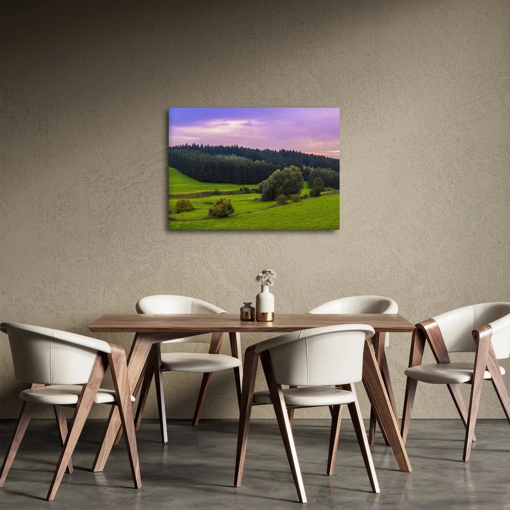 Obraz łąki (70x50 cm)