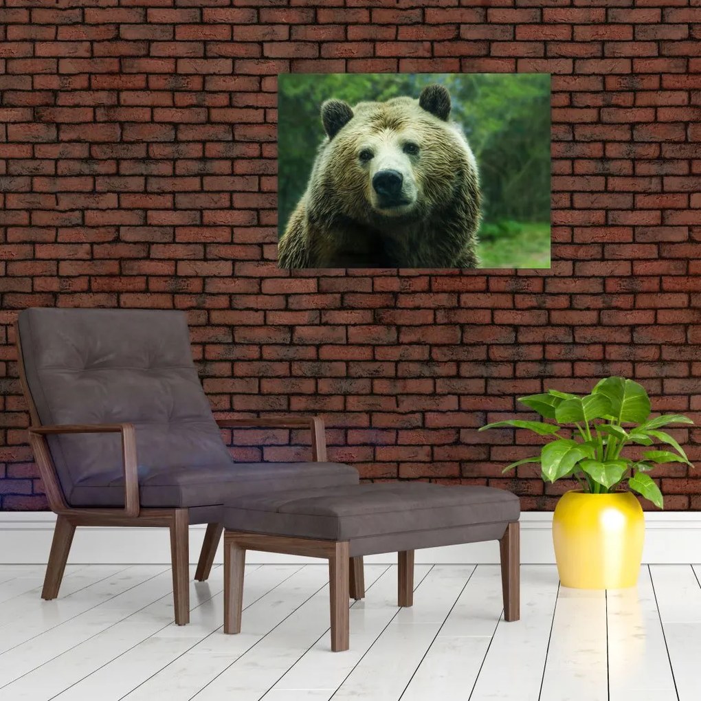 Obraz na szkle - niedźwiedź (70x50 cm)