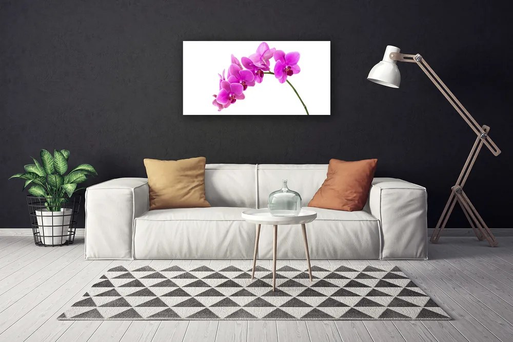 Obraz Canvas Storczyk Kwiat Orchidea