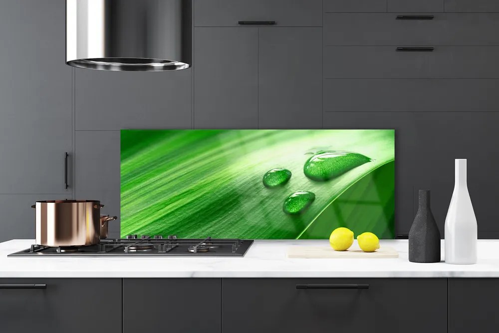 Panel Szklany do Kuchni Perlista Rosa Na Liściu