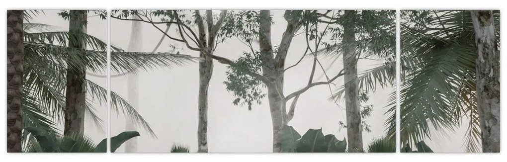 Obraz - dżungla w porannej mgle (170x50 cm)