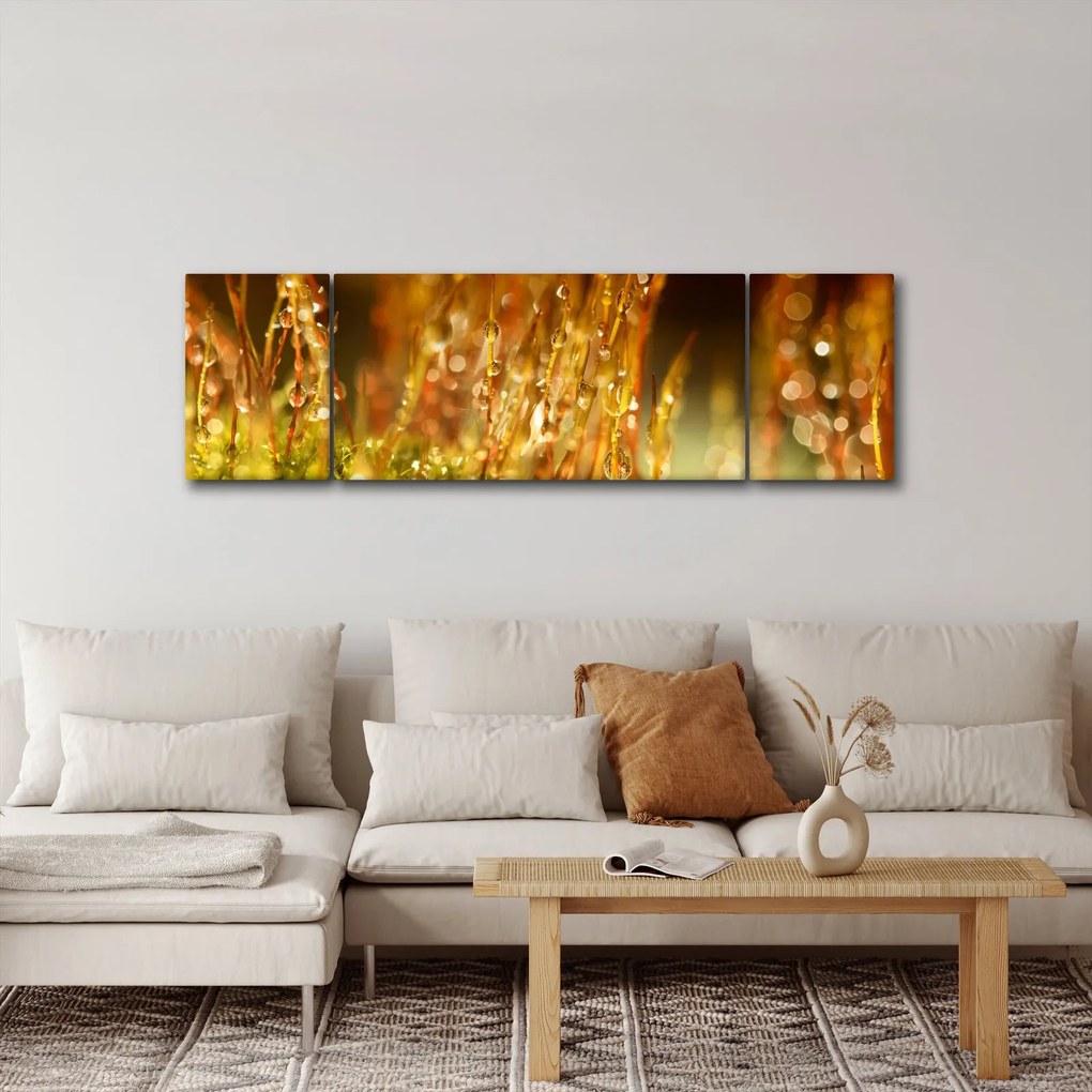 Obraz - Szczegół rosy (170x50 cm)