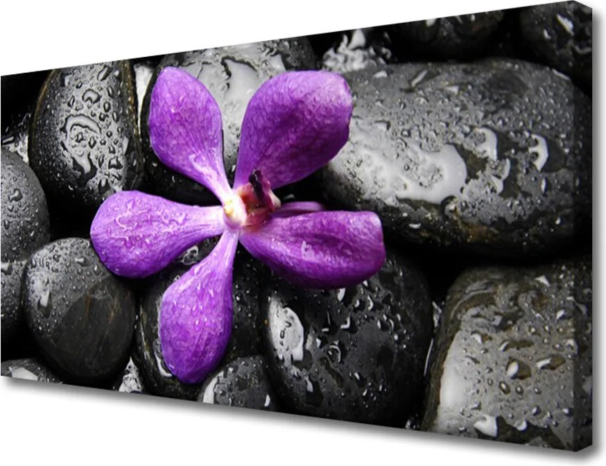 Obraz canvas Harmonijna Kompozycja Zen