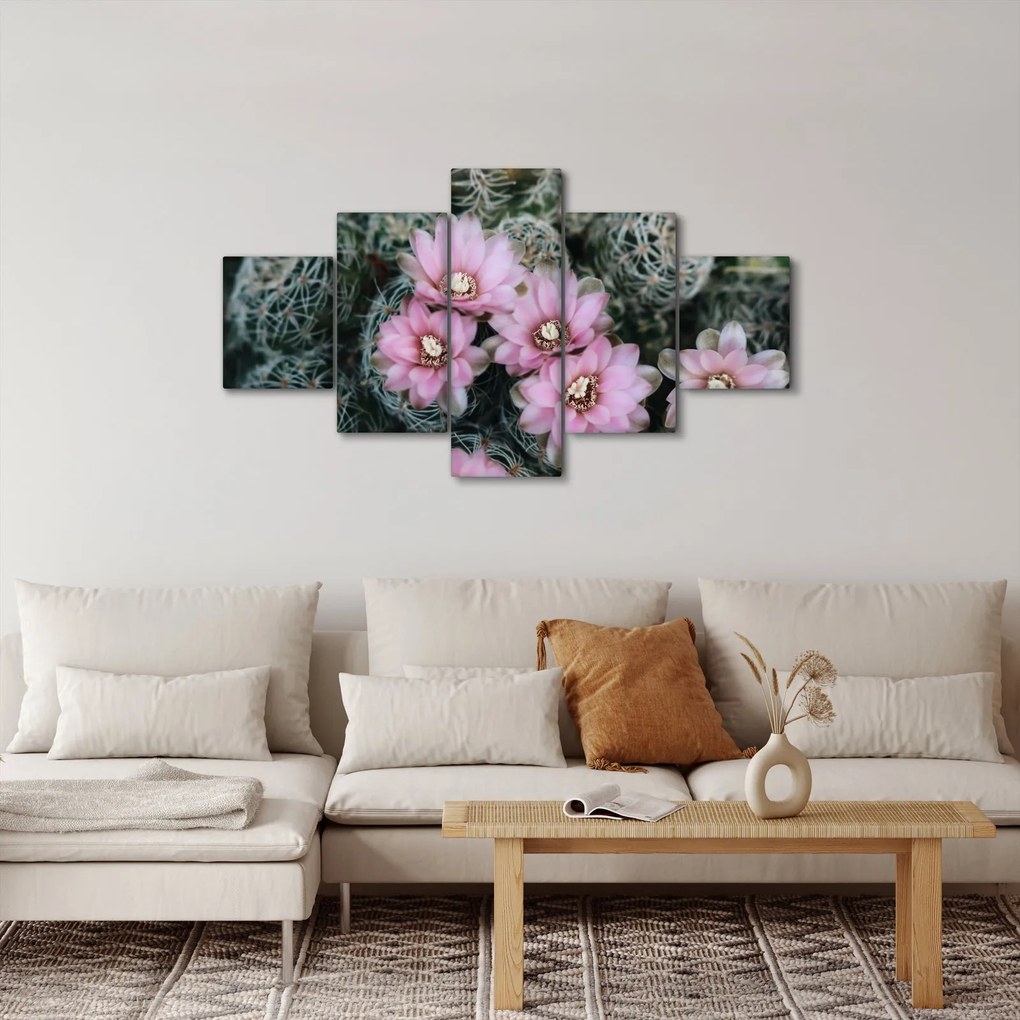 Obraz kwiatu kaktusa (125x70 cm)