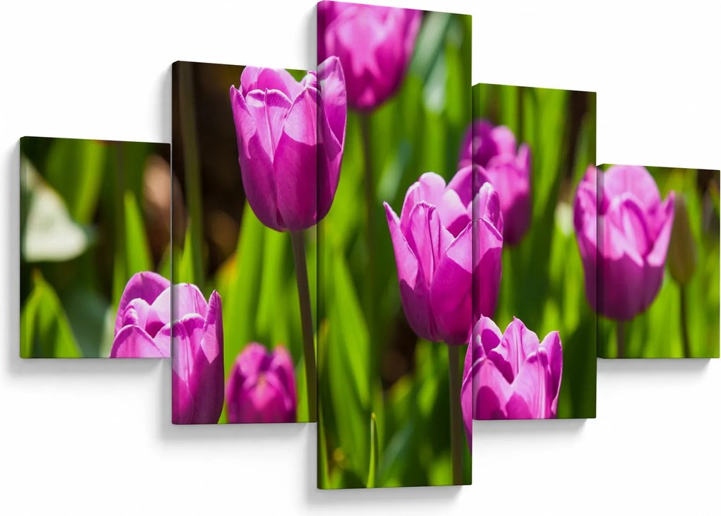 Obraz tulipanów na łące (125x70 cm)