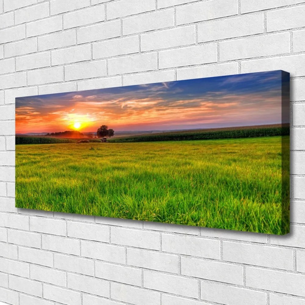 Fotoobraz na płótnie Słoneczna Polana o Poranku