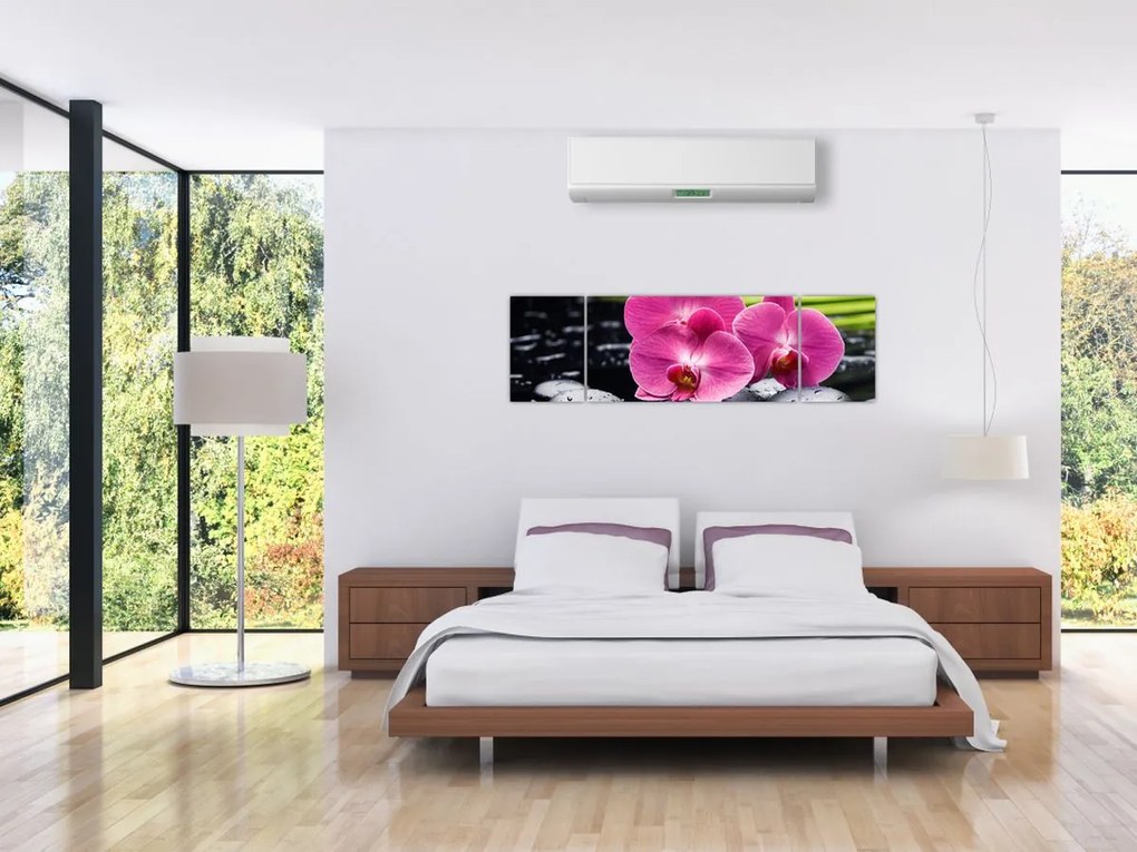 Obraz - Różowe orchidee z liściem palmy (170x50 cm)