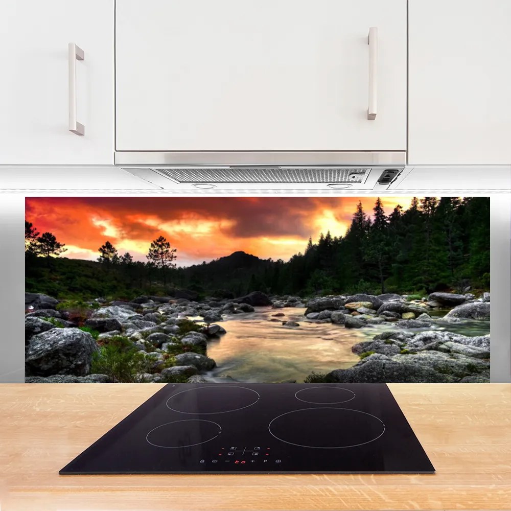 Panel Szklany Leśna Rzeka wpadająca do Jeziora