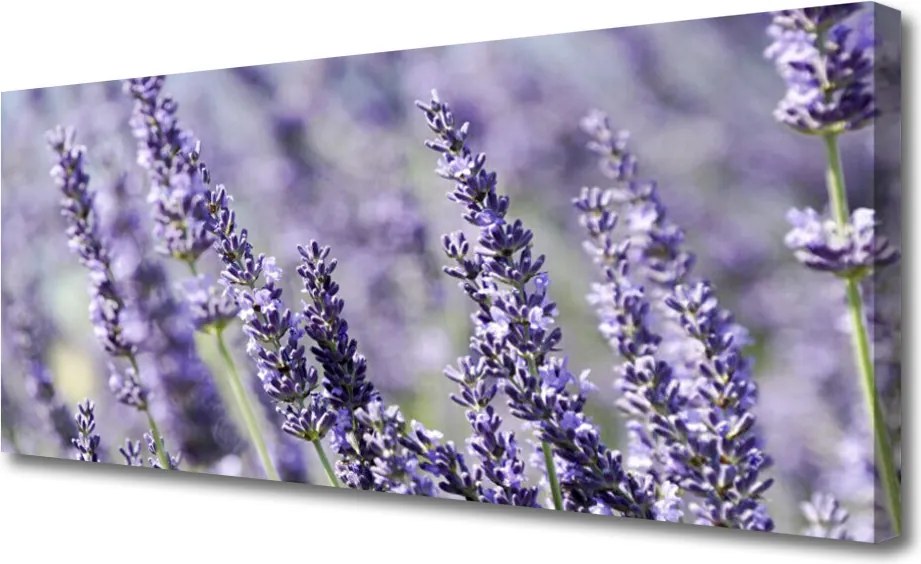 Obraz canvas Natura w Pełnym Rozkwicie