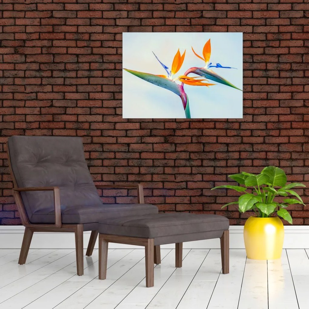 Obraz kwiatu Strelicji (70x50 cm)