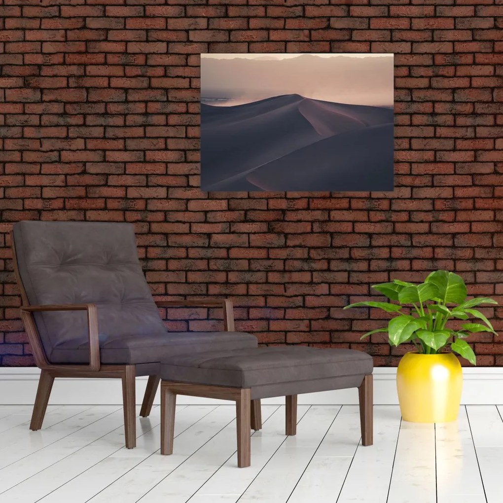 Obraz - Wydmy piaskowe (70x50 cm)