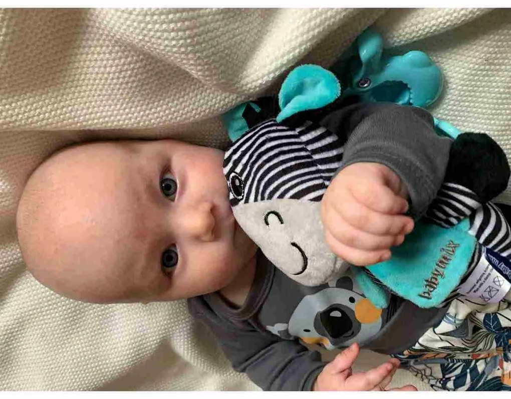 Baby Mix Edukacyjna zabawka pluszowa z klipsemZebra, 17 cm