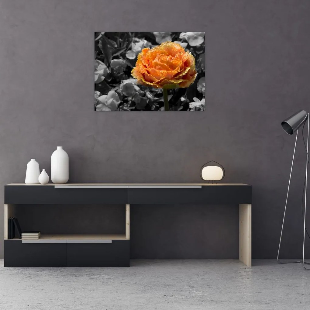 Obraz na szkle kwiatu (70x50 cm)