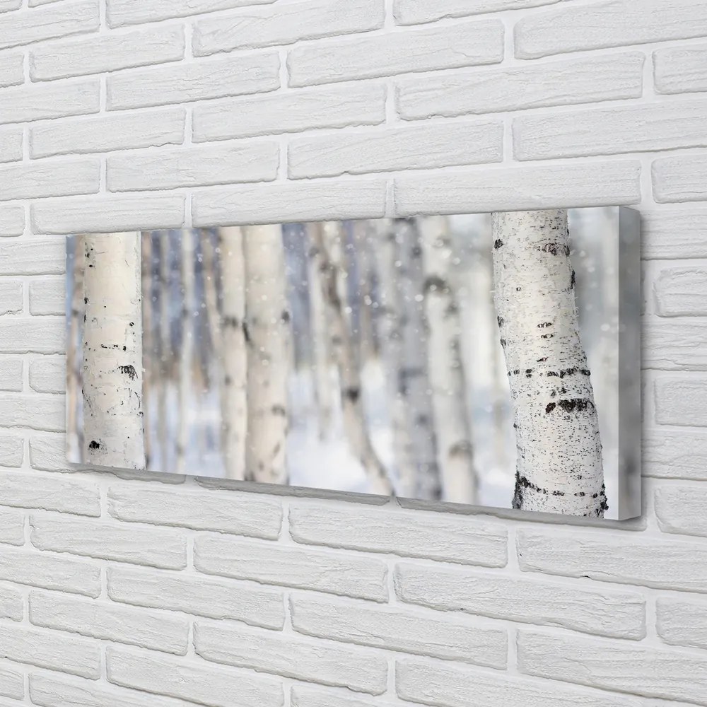 Obraz na płótnie Drzewa Zimą w Śniegu