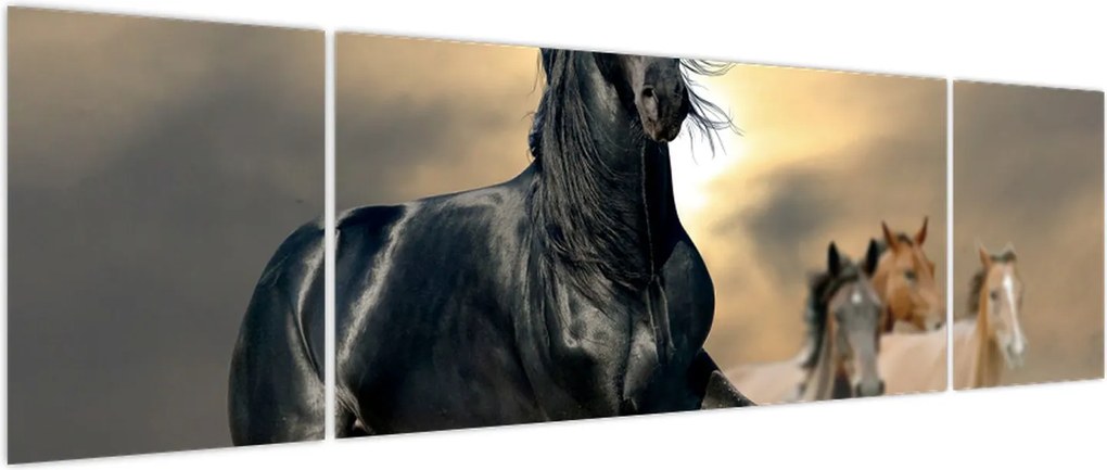 Obraz - Konie (170x50 cm)