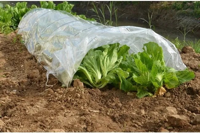 Tunel foliowy 300 x 65 x 45 cm biały