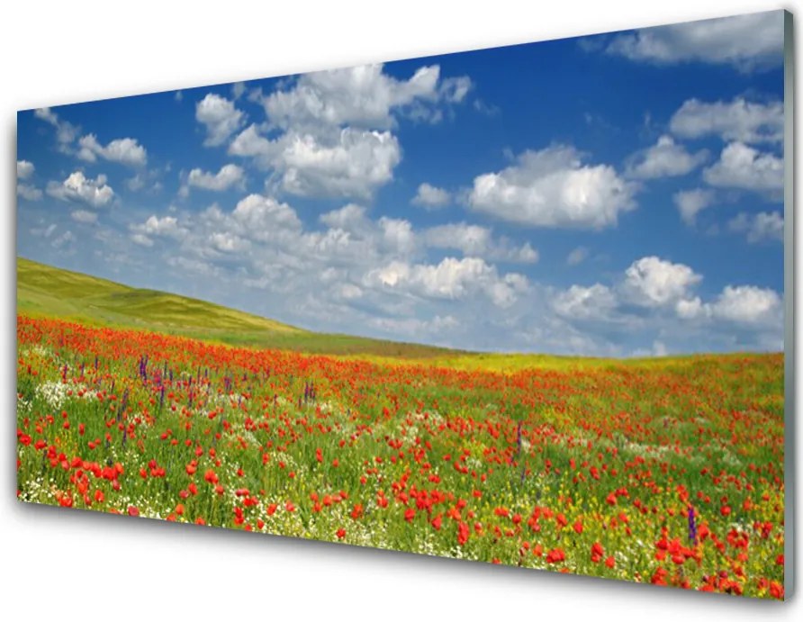 Panel Kuchenny Sielski Pejzaż Polny