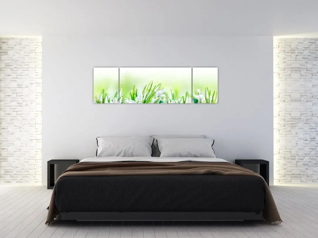 Obraz - Przebiśniegi (170x50 cm)