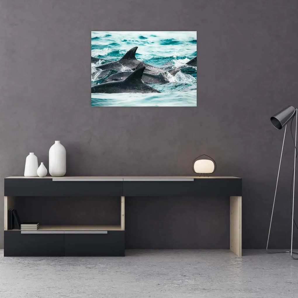 Obraz - Delfiny w oceanie (70x50 cm)