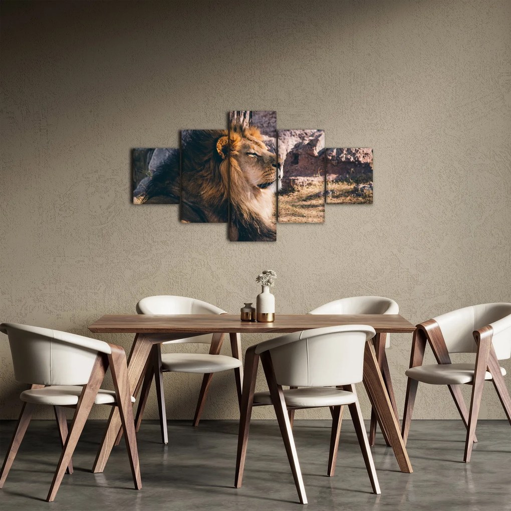 Obraz leżącego lwa (125x70 cm)