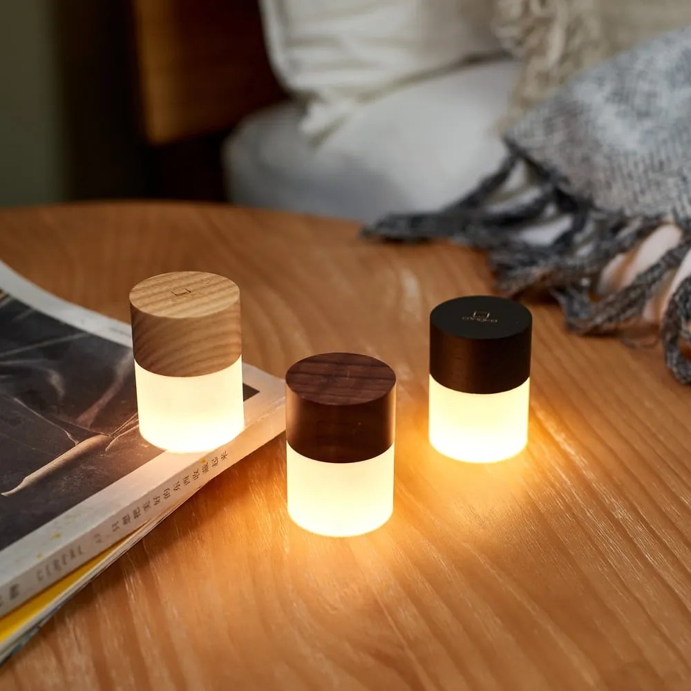 Dekoracja świetlna na USB w naturalnym kolorze ø 4,5 cm Lemelia – Gingko