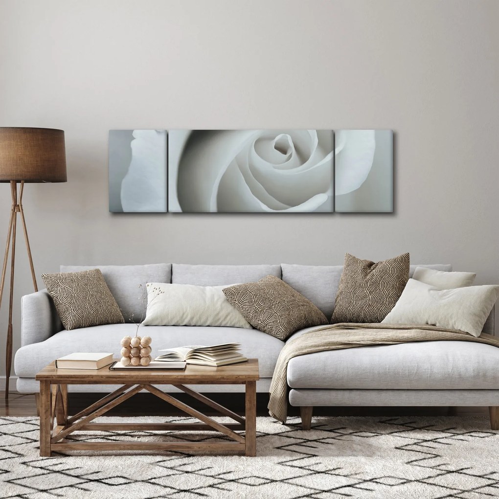 Obraz - Biała róża (170x50 cm)