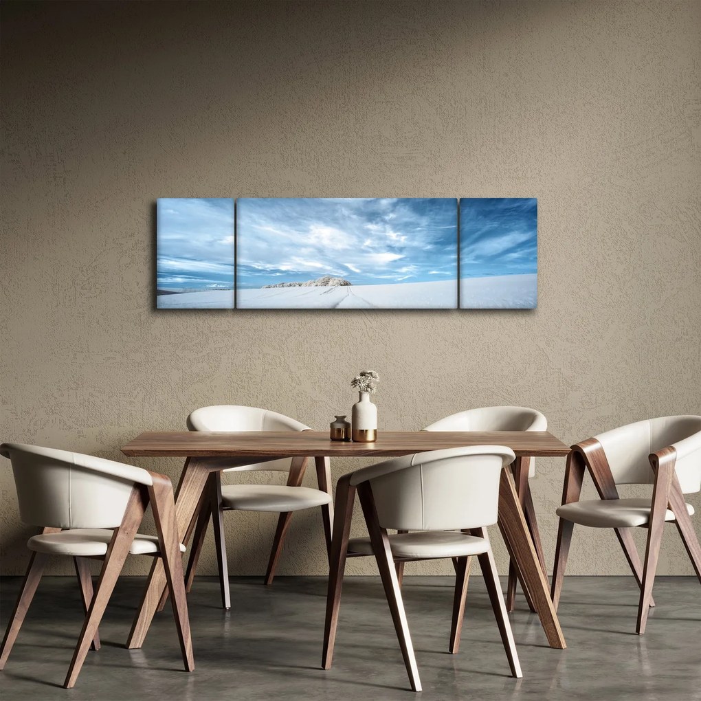 Obraz pola (170x50 cm)
