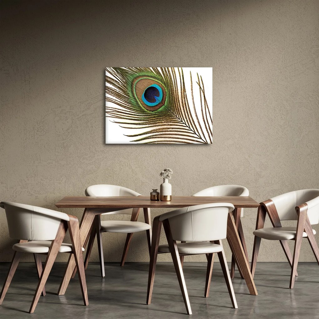 Obraz pawich piór (70x50 cm)