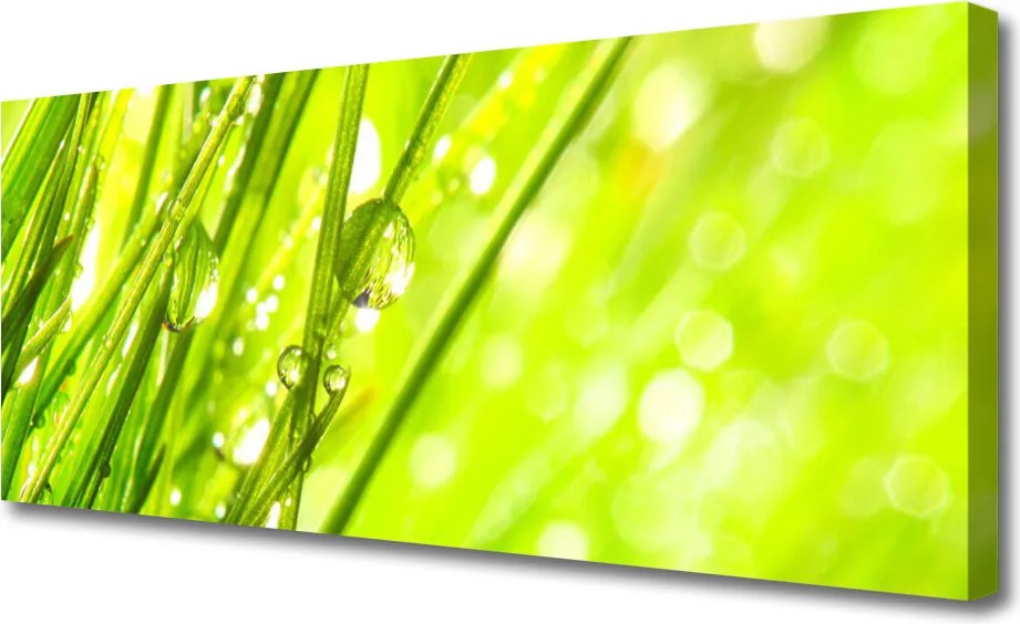 Obraz canvas Świeżość Porannej Rosy