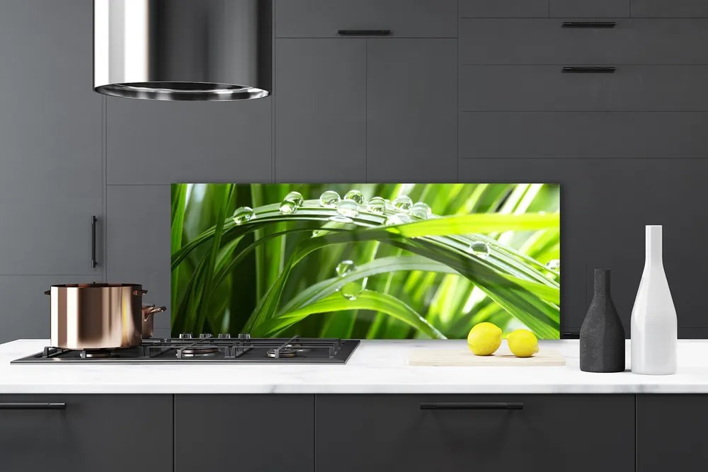 Szkło Ozdobne do Kuchni Świeżość Poranka: Trawa i Rosa