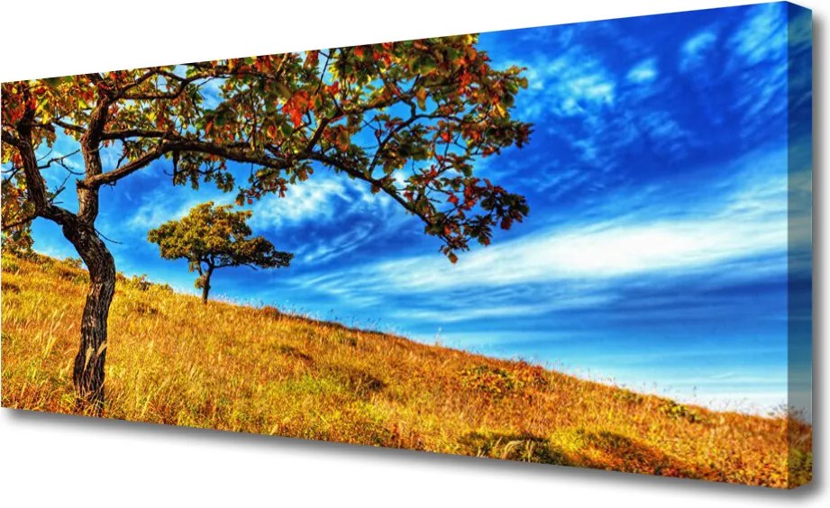 Obraz canvas Niewinność Białego Storczyka