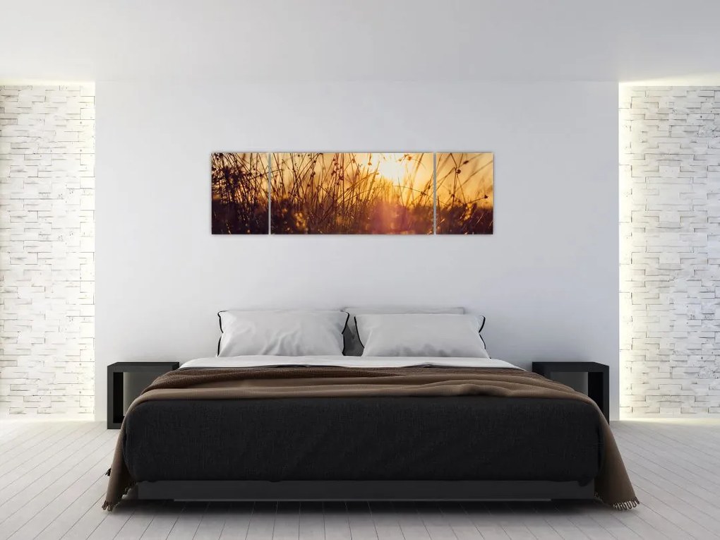 Obraz pola o zachodzie słońca (170x50 cm)