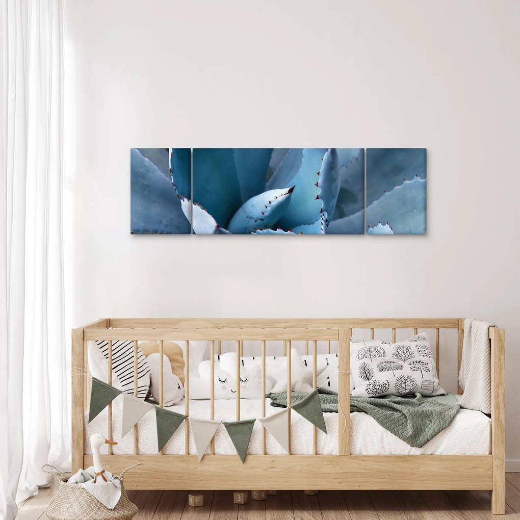 Obraz - Agawa (170x50 cm)