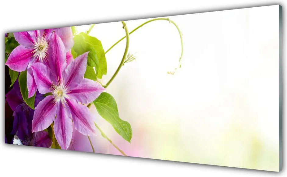 Szkło do Kuchni na Ścianę Naturalna Kompozycja Florystyczna