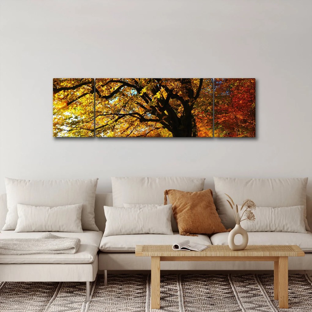 Obraz jesiennego drzewa (170x50 cm)