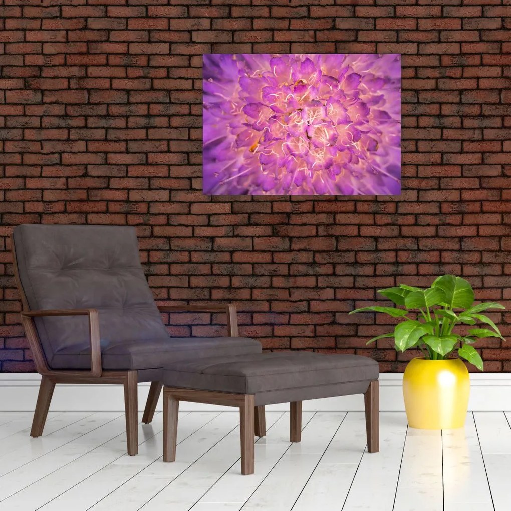 Obraz na szkle - szczegółowy obraz kwiatu (70x50 cm)