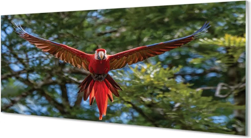 Panel szklany do Kuchni Majestatyczna Papuga Ara
