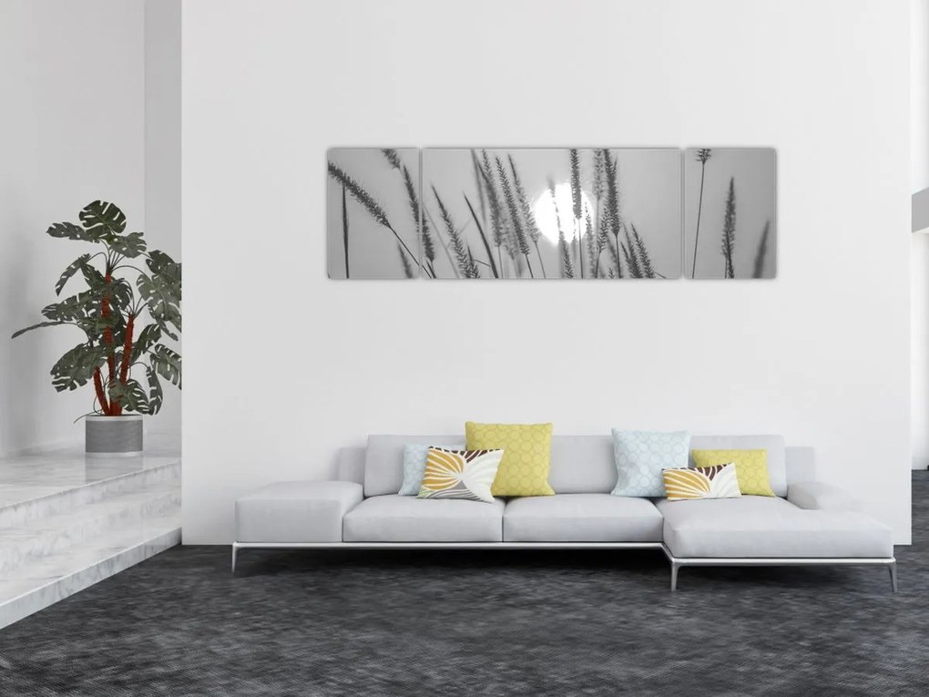 Obraz - Łąka o zachodzie słońca (170x50 cm)