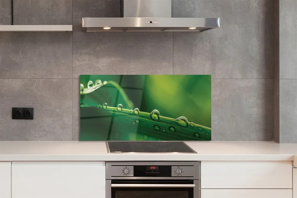 Panel szklany do Kuchni Źdźbło Trawy z Kroplą Rosy