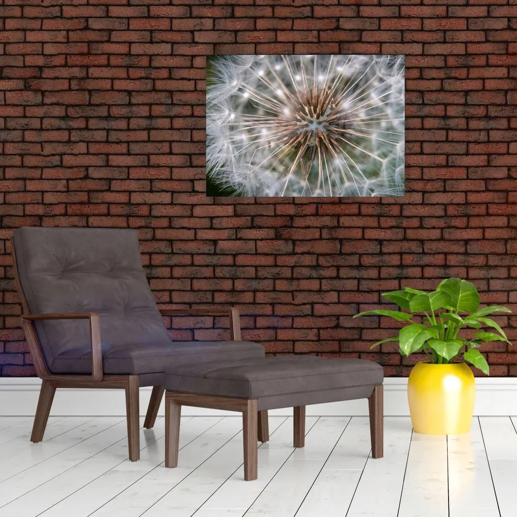 Obraz na szkle - dmuchawiec (70x50 cm)