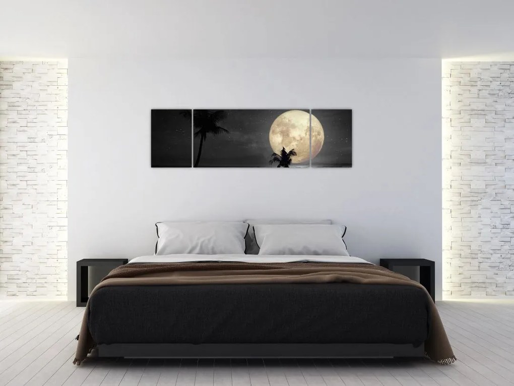 Obraz - Plaża pod pełnią księżyca w odcieniach szarości (170x50 cm)