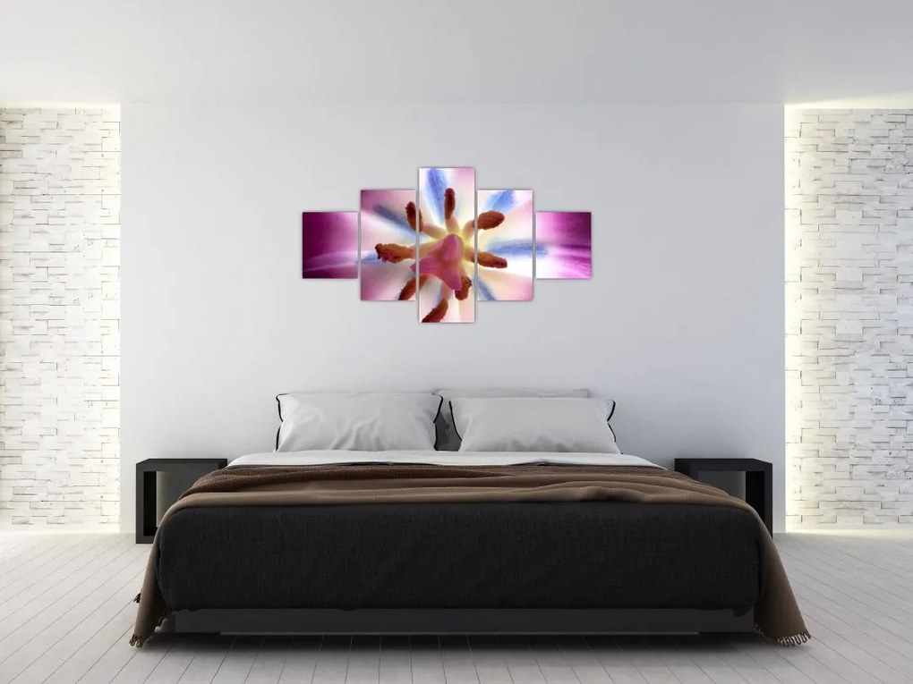 Obraz - Kwiat tulipana w szczegółach (125x70 cm)