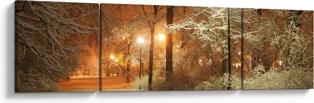 Obraz - Zaśnieżony park (170x50 cm)