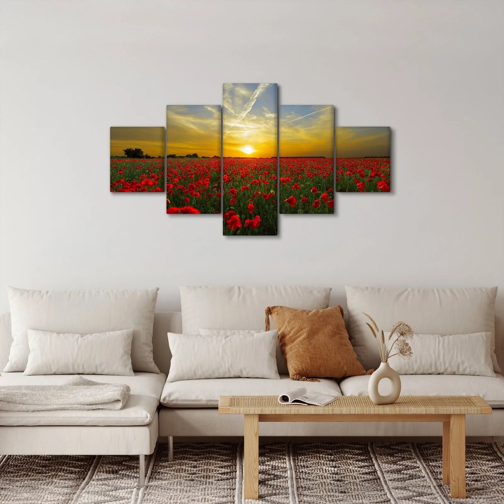 Obraz pola maków (125x70 cm)