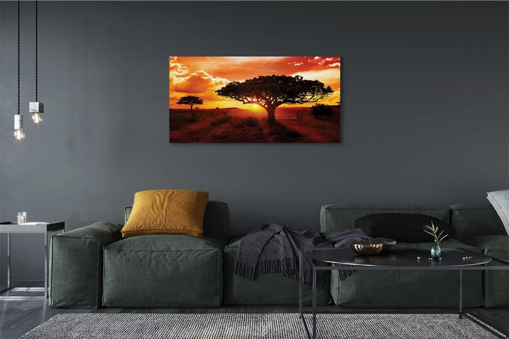 Obraz na płótnie Drzewa i Chmury o Zachodzie